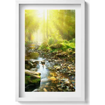 Obraz Nástěnný obraz dekorace interiéru Lesní potůček ve slunečních paprscích 40x60 cm