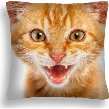 Polštář POLŠTÁŘ MALÉ KOTĚ 40 ZRZKA PL 50X50