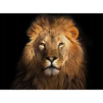 Kuchyňské prkénko Skleněná Ochranná Deska a Krájecí Prkénko | Indukce, Sporák ds-0439