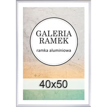 Obraz Rámeček 40x50 cm Stříbrný hliníkový Rámeček fotorámečky