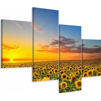 Obraz Vícedílný obraz SLUNEČNICOVÉ Pole 3D 120x75