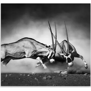 Kuchyňské prkénko Skleněná Ochranná Deska a Krájecí Prkénko | Indukce, Sporák ds-0374