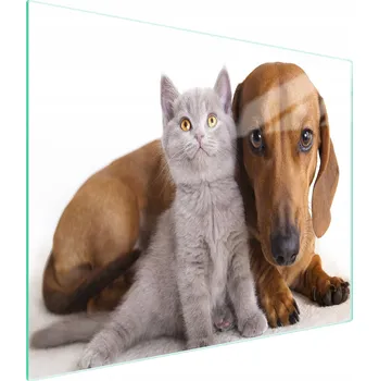 Kuchyňské prkénko Krájecí deska TMK ArtDeko sklo 1 ks