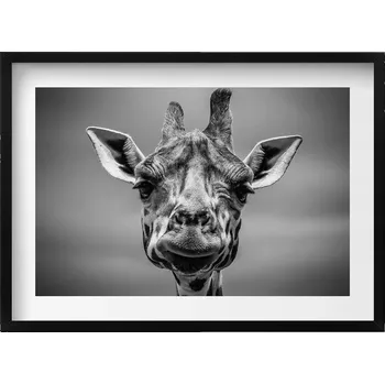 Obraz Dekorativní obraz v černém rámu do obýváku Černobílá hlava žirafy 70x50 cm
