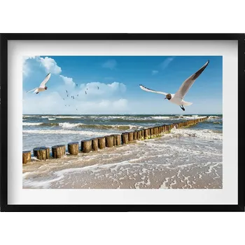 Obraz Moderní nástěnná dekorace obraz v černém rámu Pták nad mořem 70x50 cm