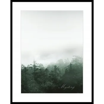 Obraz Dekoria Obraz Mystery 40x50 cm