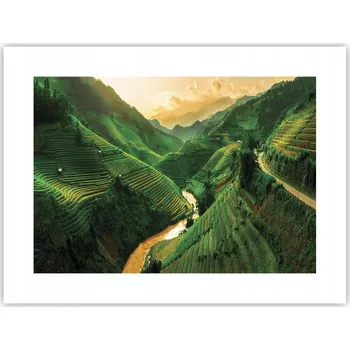 Obraz Obraz plakát do obýváku ložnice 40x30 rýžová pole foto na zeď bez rámu