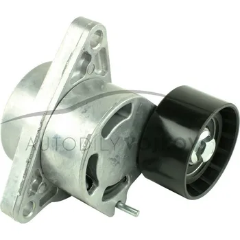 Rozvod motoru Napínací kladka klínového řemenu Renault Master II 2003 - 2010 2.5 dCi - G9U