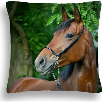 Polštář POLŠTÁŘ KŮŇ 33 KAŠTAN STROM ZELENÉ LISTY