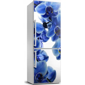 Fototapeta Samolepka Tapeta lednička květina orchidej 70x190