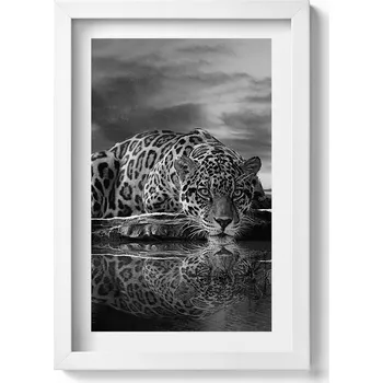Obraz Nástěnný obraz do obýváku, kuchyně Černobílý leopard divoké zvíře 20x30 cm