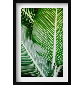 Obraz Dekorativní nástěnný obraz v rámu do obýváku Exotické zelené listy 40x60 cm