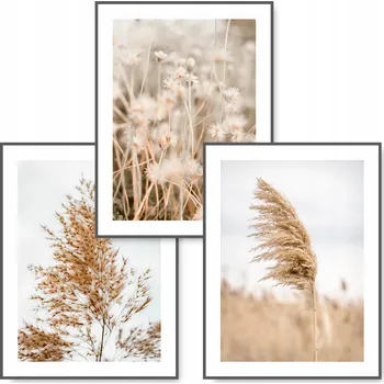 Obraz Plakát Plakáty bez rámu 40x50cm - Bez rámu, 40 x 50 cm