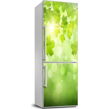 Fototapeta Samolepicí samolepící s dýhou Zelené listy