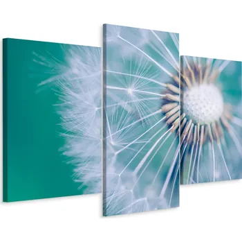 Obraz Obraz TRYPTYK Pampeliška Příroda Makro 3D 60x40