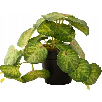 umělá květina UMĚLÝ KVĚT BEGONIE ZÁVĚSNÁ v květináči, dekorace, dárek 17 cm