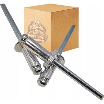 Nýt Trhací nýty PanChanPL pozinkované 4,80 mm x 10 mm 425 ks stříbrné