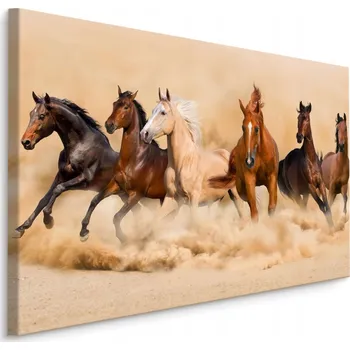 Obraz Obraz Tryskající stádo KONÍ v poušti 3D 30x20