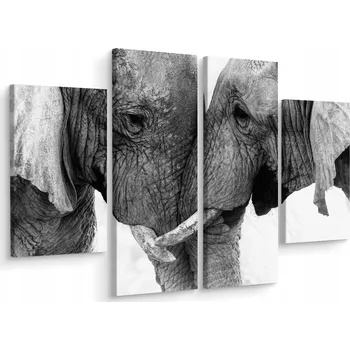 Obraz Čtyřdílný obraz SLONI Zvířata Dekorace 80x60