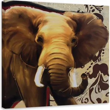 Obraz OBRAZ NA PLÁTNĚ Slon Africký Zvířata 40x40