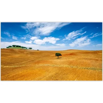 Kuchyňské prkénko Skleněná Ochranná Deska a Krájecí Prkénko | Indukce, Sporák ds-0137