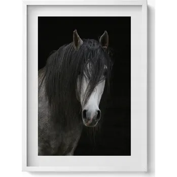 Obraz Ozdobný nástěnný obraz v rámu do obýváku Hlava šedého koně hřebce 50x70 cm