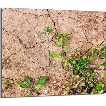 Kuchyňské prkénko Krájecí deska TMK ArtDeko sklo 1 ks