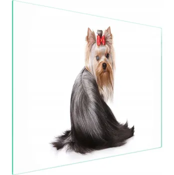 Kuchyňské prkénko Krájecí deska TMK ArtDeko sklo 1 ks