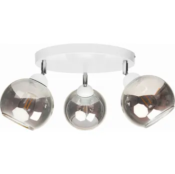 Stropní Svítidlo Ledigo 30 kulatý bílá