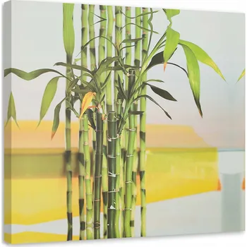 Obraz OBRAZ NA PLÁTNĚ Bambus Listy Zen Spa 30x30