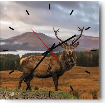 Hodiny Velké nástěnné hodiny 40x40 cm Zvířata Skleněné tiché hodiny