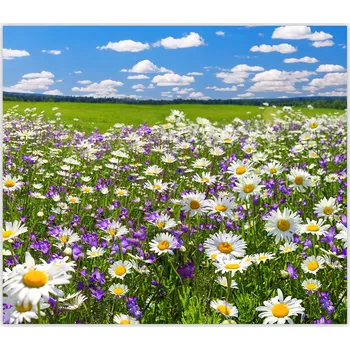 Obraz Skleněná Ochranná Deska a Krájecí Prkénko | Indukce, Sporák ds-0514