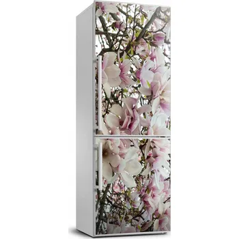Fototapeta Foto Nálepka Tapeta na ledničku Květy magnolie