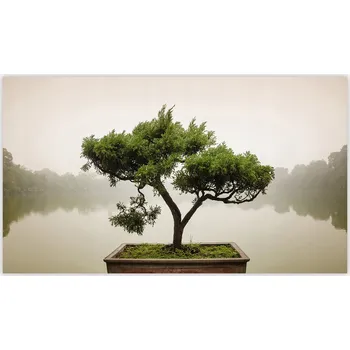 Kuchyňské prkénko Skleněná Ochranná Deska a Krájecí Prkénko | Indukce, Sporák ds-0358