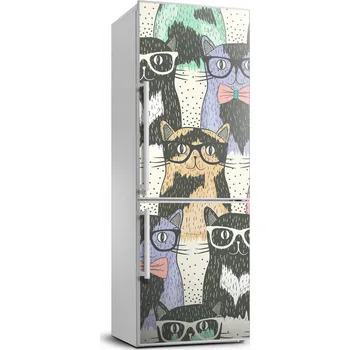 Fototapeta Samolepka / Fólie na lednici Kočky v brýlích 70x190 cm