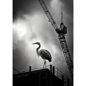 Plakát Plakát Vysoko nad Horizontem bez rámu 29,7 x 42 cm