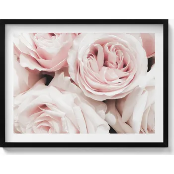 Obraz Obraz na stěnu dekorace interiéru Bledě růžové květy jemné růže 80x60 cm