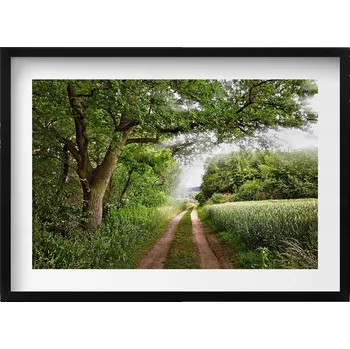 Obraz Obraz v černém rámu na zeď Cesta stromů a sluneční paprsky 70x50 cm