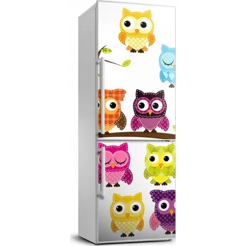Fototapeta Samolepka na lednici - barevné sovy 70x190 cm