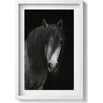 Obraz Ozdobný nástěnný obraz v rámu s grafikou Hlava šedého koně 40x60 cm