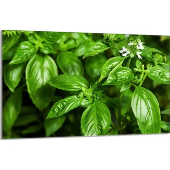 Kuchyňské prkénko Krájecí deska TMK ArtDeko sklo 1 ks