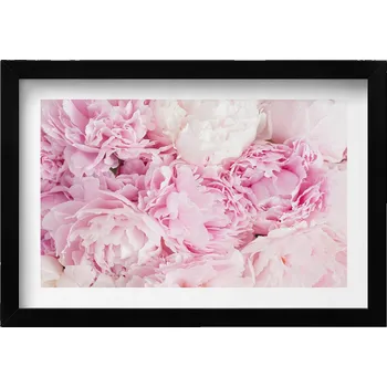 Obraz Obraz v černém rámu na zeď Jemné květy pivoňky 30x20 cm