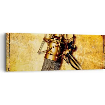 Obraz Obraz na plátně do obýváku, ložnice 90x30 mikrofon foto obrazy na zeď