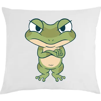 Polštář Polštář Seledinová žába bílá 40x40 cm