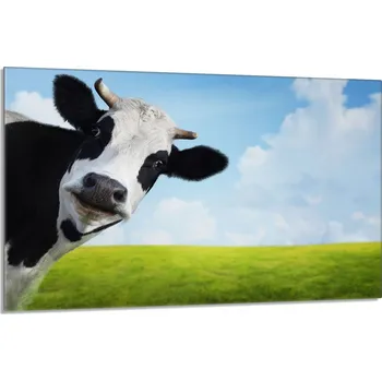 Kuchyňské prkénko Krájecí deska TMK ArtDeko sklo 1 ks