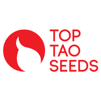 Semeno TAO SEEDS Haze AUTO Tao Počet ks Regular: 5