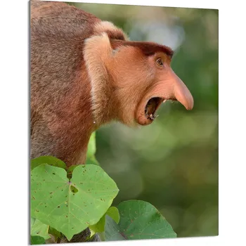 Obraz Krájecí deska TMK ArtDeko sklo 1 ks