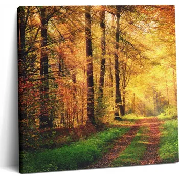 Obraz Fotoobraz na plátně Moderní do kanceláře Podzimní lesní scenérie 60x60 cm