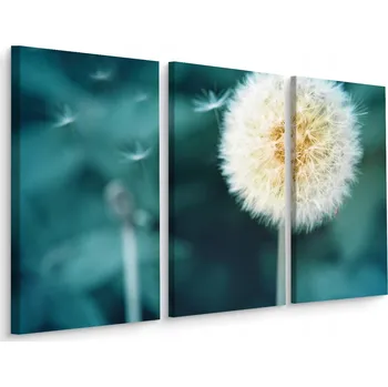 Obraz Obraz Tryptych KVĚT PAMPELIŠKY Makro Detail 60x40