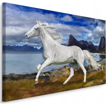 Obraz Obraz kůň v cvalu 70x50 /253253372